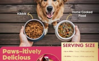 Best Organ Meat For Dog Food