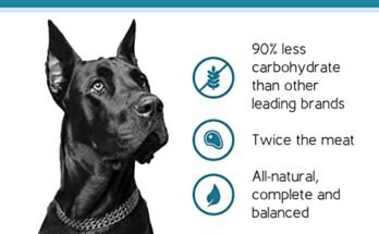 Best Low Carb Dog Food