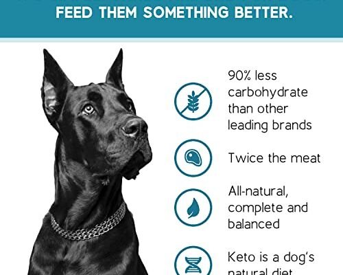 Best Low Carb Dog Food