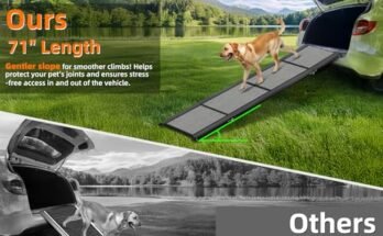 Best Dog Ramps For Suv