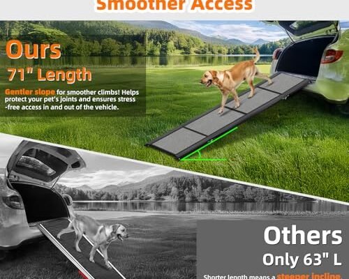 Best Dog Ramps For Suv