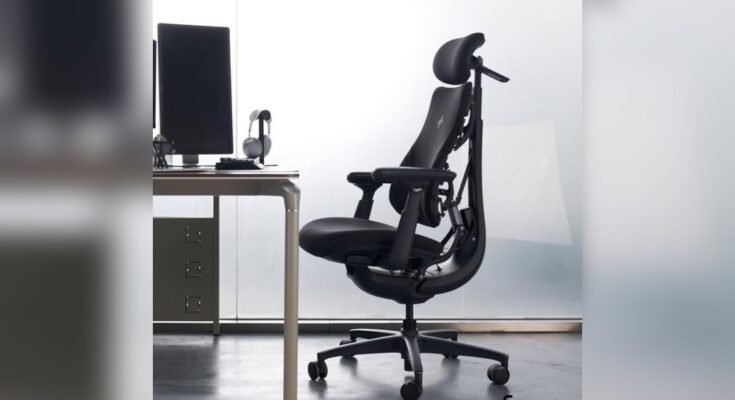 Are Ergonomic Chairs Really Worth It