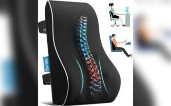 Best Chair for Back Support at Home