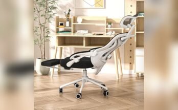 Best Chair for Daily Use