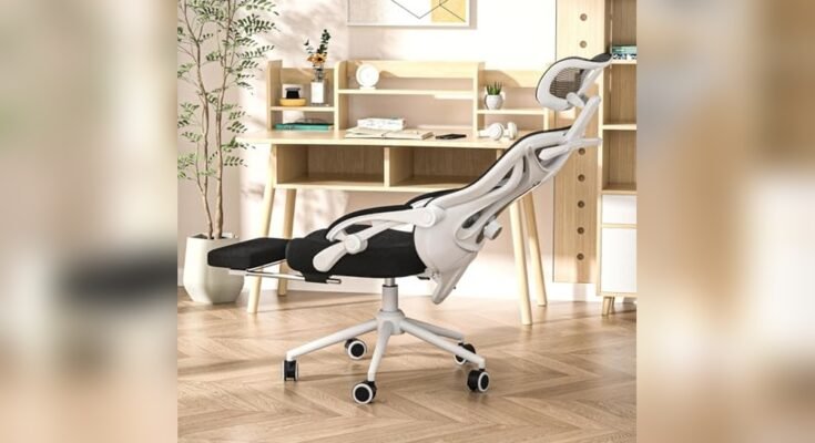 Best Chair for Daily Use