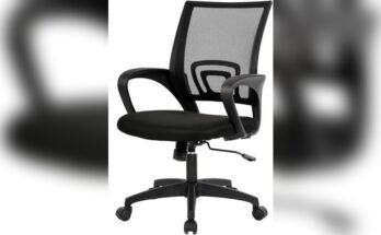 Best Chair for Work Desk