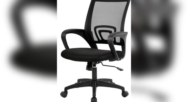 Best Chair for Work Desk