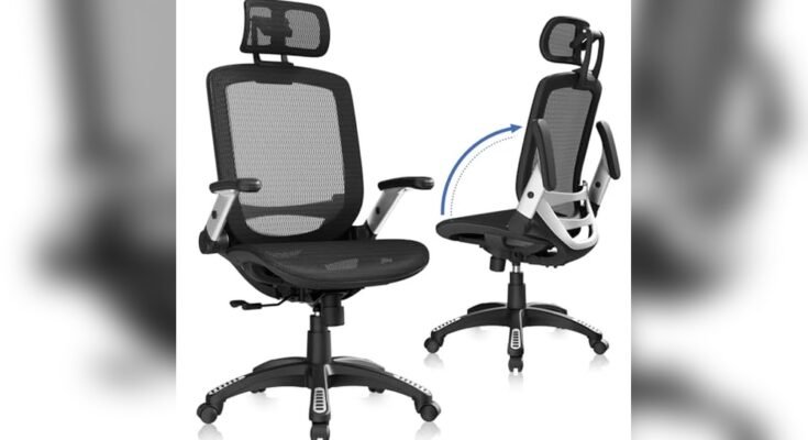 Best Mesh Office Chair