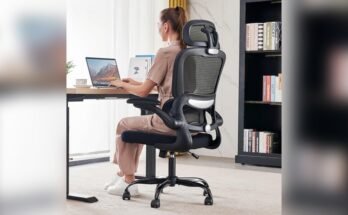 Best Office Chair for Long Sitting Hours