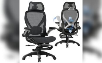 Best Office Chair With Lumbar Support