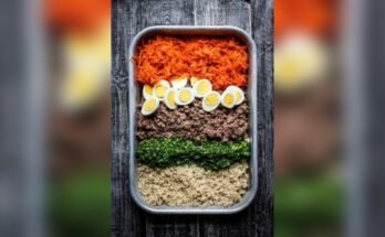 Can Dogs Eat Homemade Food Instead of Dog Food