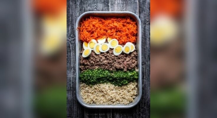 Can Dogs Eat Homemade Food Instead of Dog Food