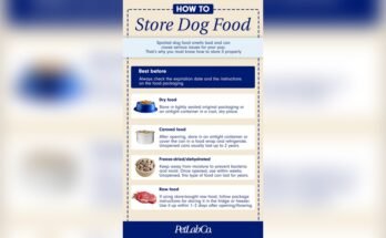 How Long Does Dry Dog Food Last After Opening