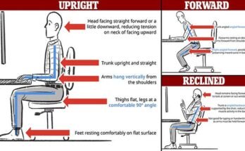 How Long Should You Sit on a Chair