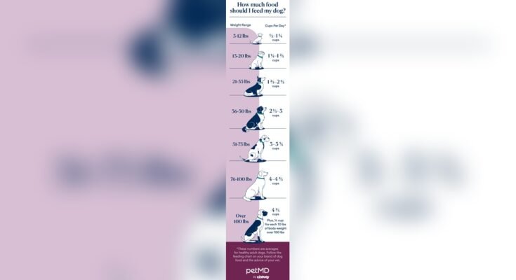 How Much Dog Food Should I Feed My Dog Per Day