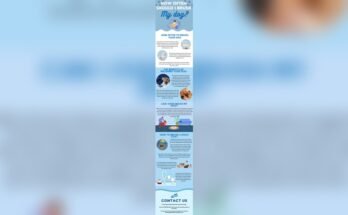 How Often Should I Brush My Dog