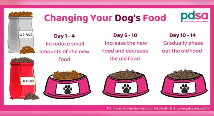 How Often Should I Change My Dog’S Food