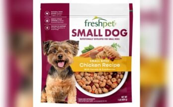 How to Choose Dog Food for Small Breed Dogs