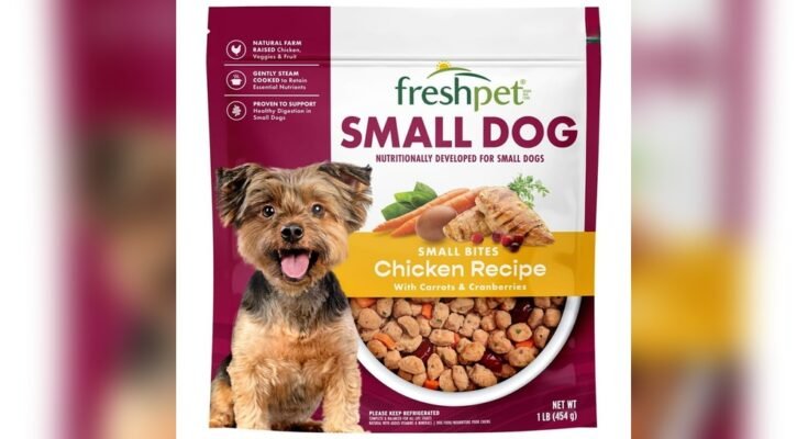 How to Choose Dog Food for Small Breed Dogs