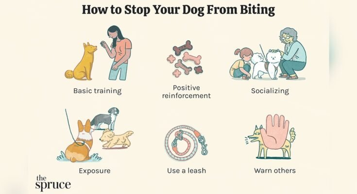 How to Stop a Dog from Biting