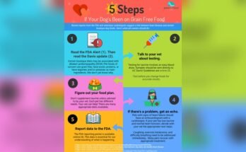 Is Grain Free Dog Food Safe for Dogs