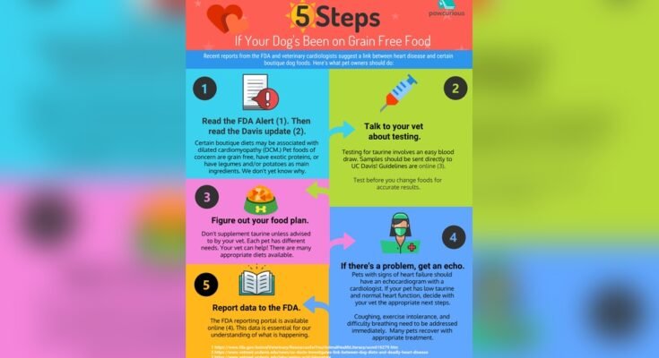 Is Grain Free Dog Food Safe for Dogs