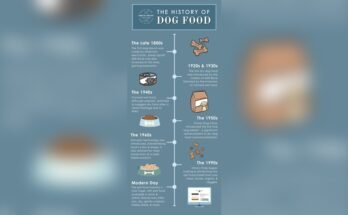 Is Raw Dog Food Better Than Kibble