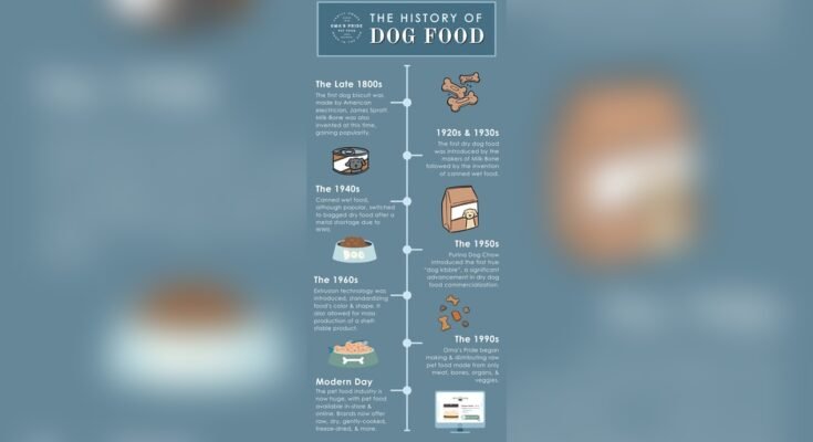 Is Raw Dog Food Better Than Kibble