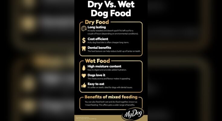 Is Wet Dog Food Better Than Dry Dog Food