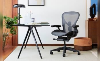 What Chair is Best for Computer Users