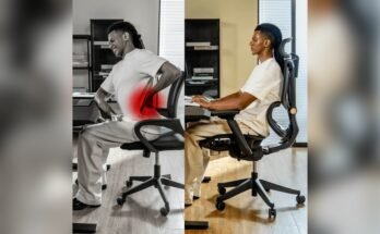 What Chair is Best for Long-Term Sitting