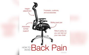 What Chair is Best for Lower Back Support