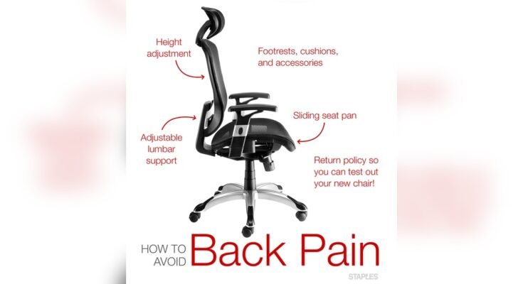 What Chair is Best for Lower Back Support