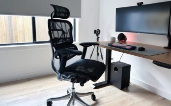 What Chair is Best for Productivity
