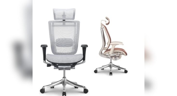 What Chair is Best for Standing Desk Users