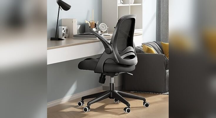 What Chair is Best for Students