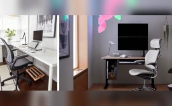 What Chair is Best for Work from Home Setup