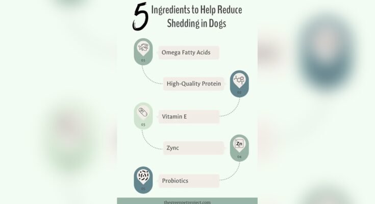 What Dog Food Helps Reduce Shedding