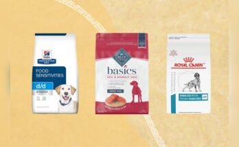 What Dog Food is Best for Dogs With Allergies