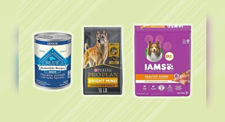What Dog Food is Best for Senior Dogs