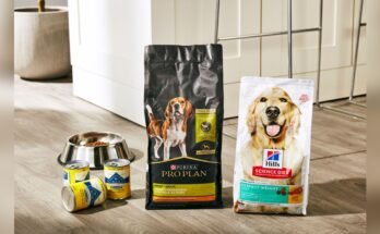 What Dog Food is Best for Weight Loss