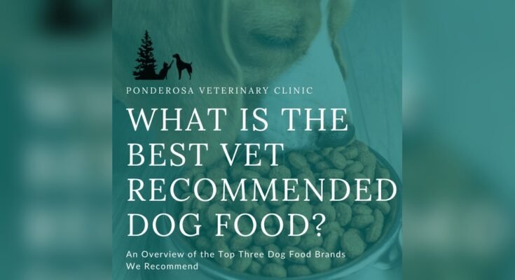 What Dog Food is Recommended by Veterinarians