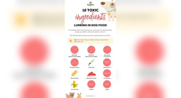 What Ingredients Should I Avoid in Dog Food