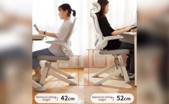 What is the Best Chair Height for Studying