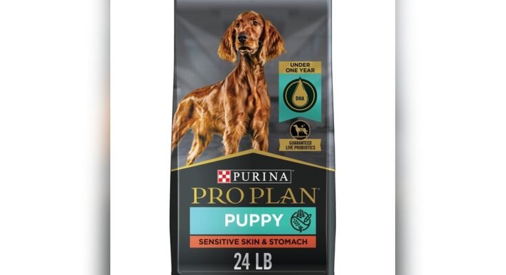 What is the Best Dog Food for Puppies With Sensitive Stomachs