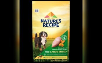 What is the Healthiest Dog Food for Large Breeds