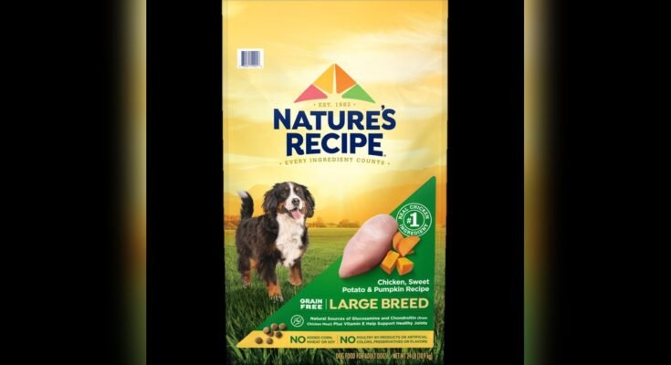 What is the Healthiest Dog Food for Large Breeds
