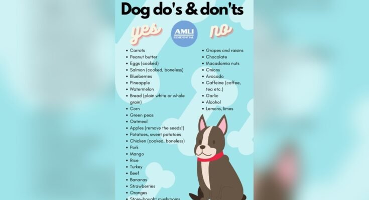 What Treats are Healthy for Dogs