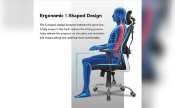 Which Chair is Best for Back Pain