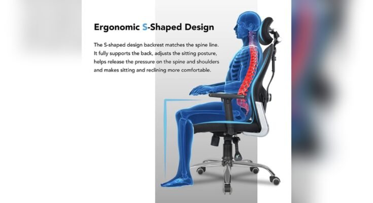 Which Chair is Best for Back Pain